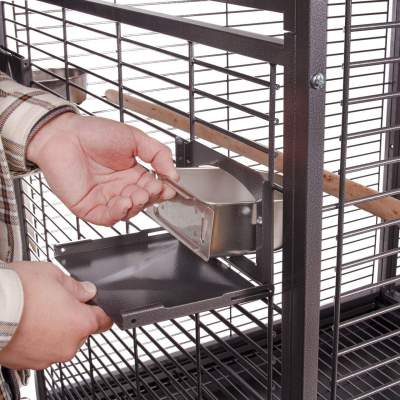 Montana Arkansas II antik