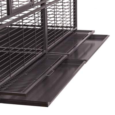 Montana Arkansas II antik